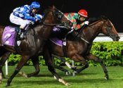 Super Easy wins the Singapore Guineas<br>Photo by Singapore Turf Club